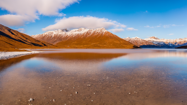 亚洲精品午夜VA久久成人